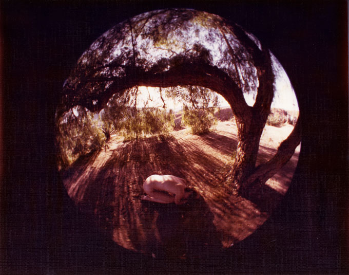 (image for) Fish Eye Nude in the Arch of an Oak