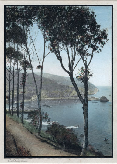 (image for) Catalina Shorline, Hand Tinted Silver Print