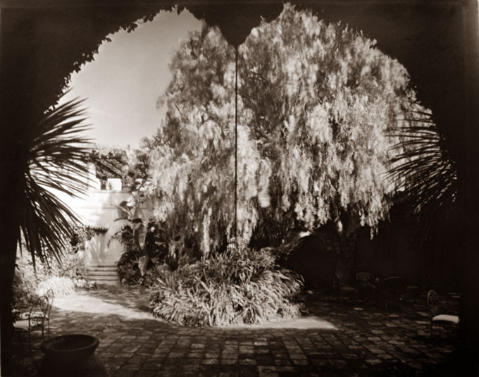 (image for) Garden with Tree