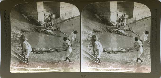 Putting Dead Bodies in the Ganges River - Click Image to Close