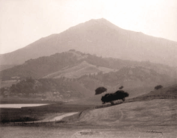 (image for) Mt. Tamalpais, Marin County, California - Platinum