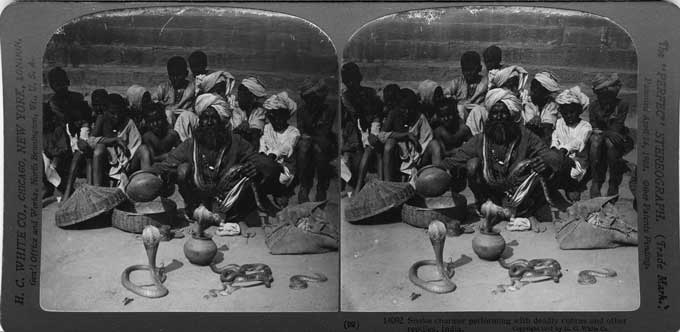 (image for) Stereoviews